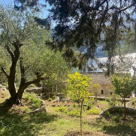Sea Front House In קאסיופי