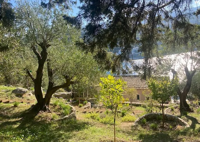 Sea Front House In Kassiopi