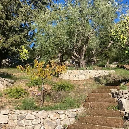 Sea Front House In 卡西奥皮