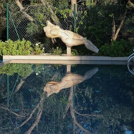 Sea Front House In *